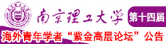 大鸡巴搞美女南京理工大学第十四届海外青年学者紫金论坛诚邀海内外英才！